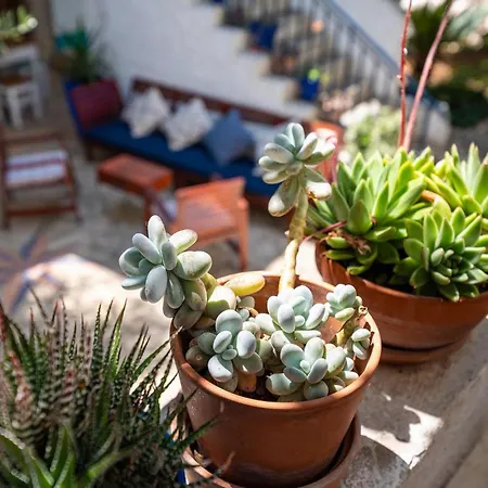 La Maison Adriatique 펜션 자다르