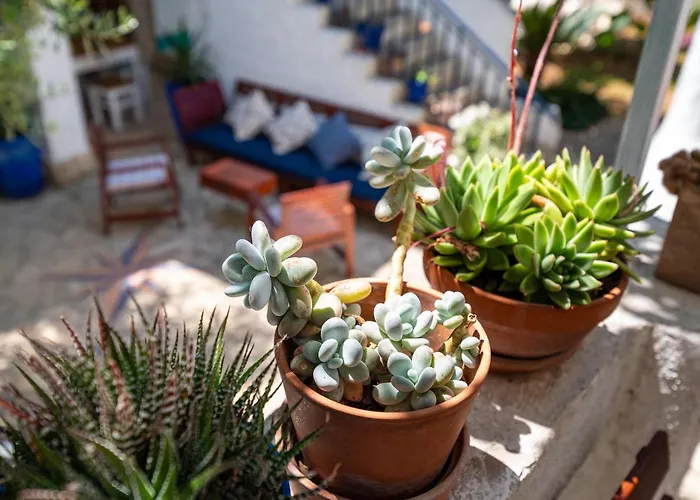 La Maison Adriatique بيت للعطل زادار